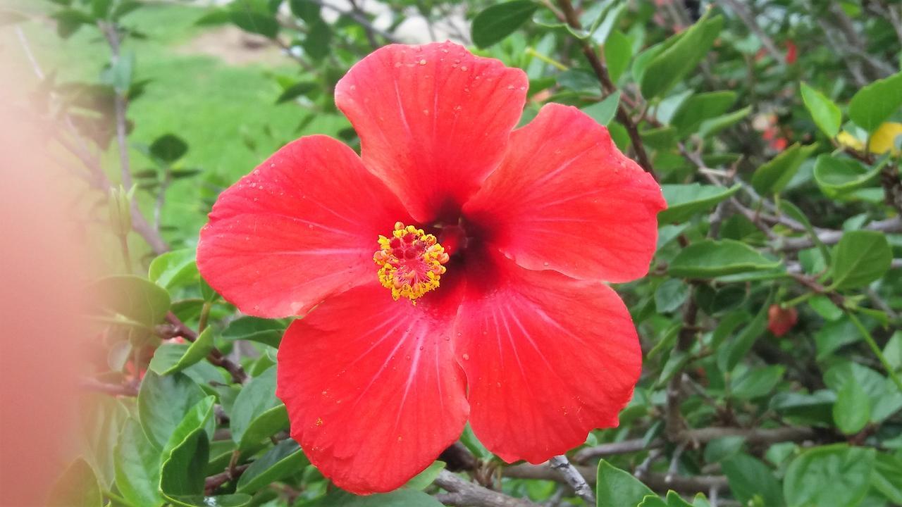Atlántida Estancia Renacimiento מראה חיצוני תמונה
